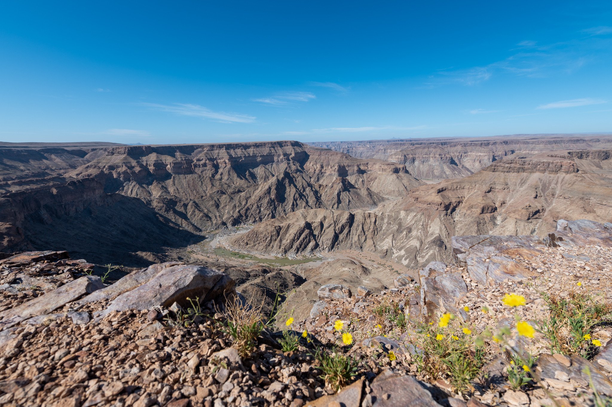 Fish River Canyon landscape, yellow flowers, southern Namibia