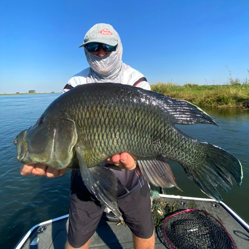 Big fish caught in the Zambezi, Namibia