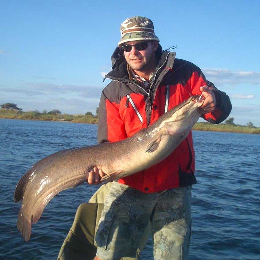 Catfish caught in Namibia