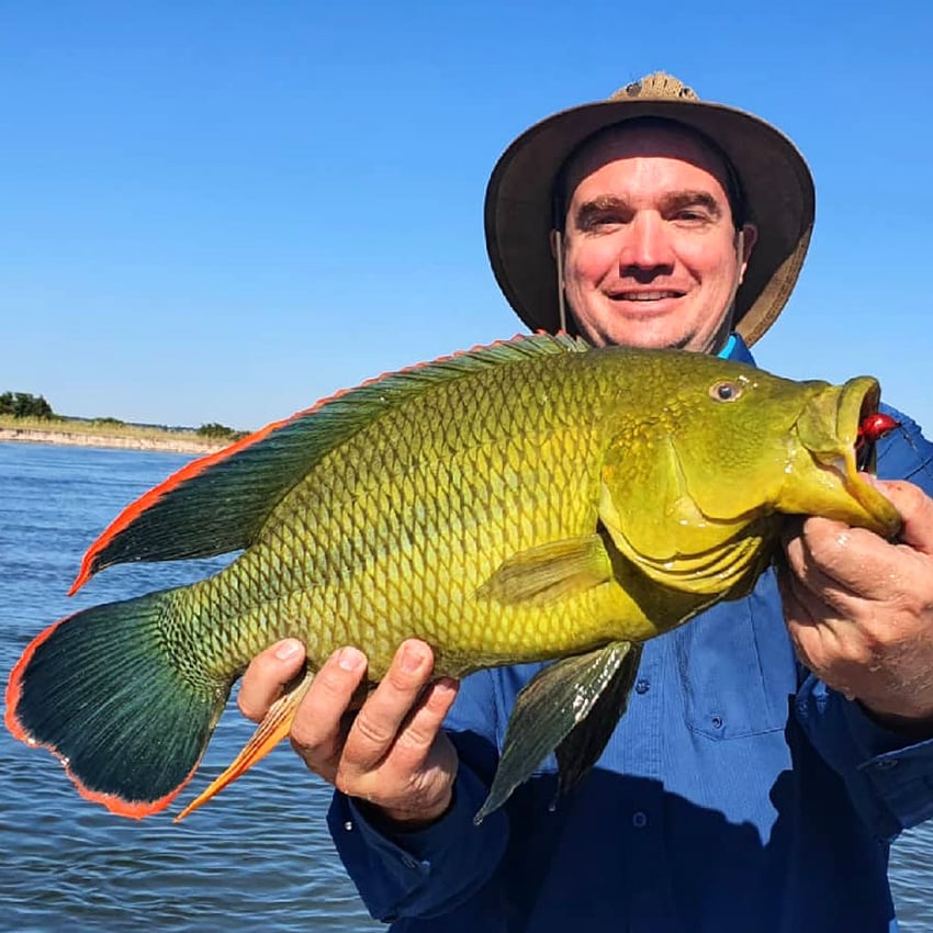 Nembwe caught in Namibia
