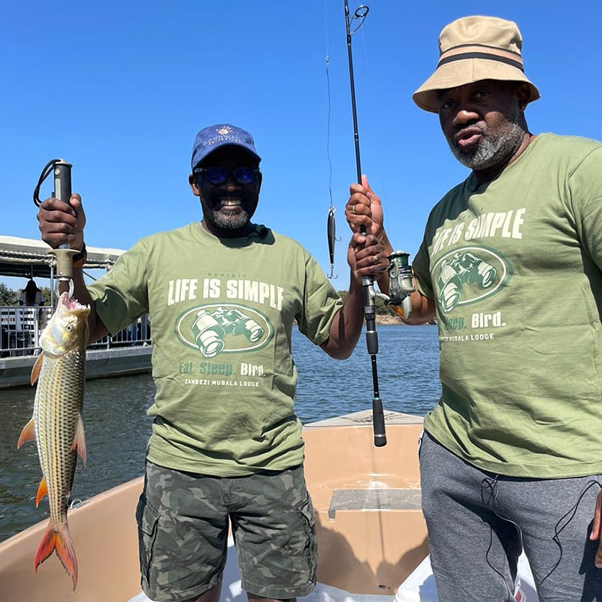 Tiger fishing in Namibia