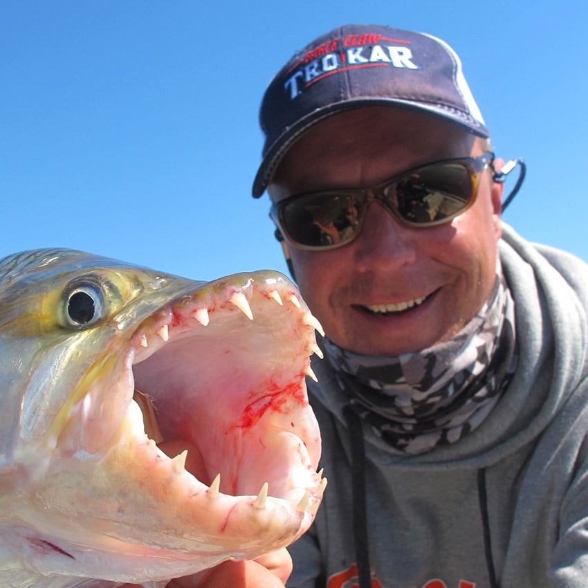 Tigerfish held up to the camera, Namibia