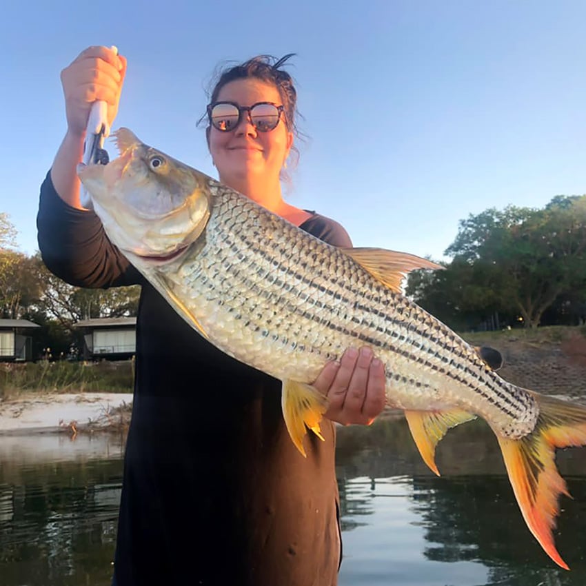Woman holding a tigerfish, Zambezi, Namibia