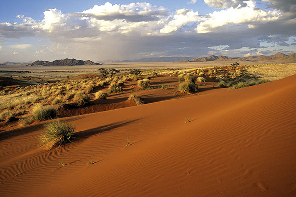 Gondwana Namib Park, red dunes, Namibia