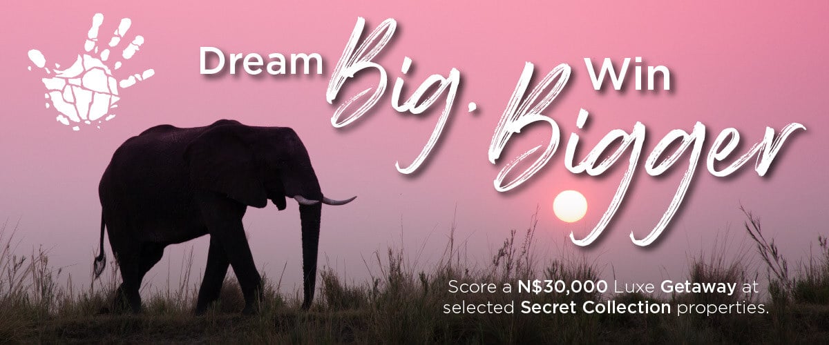 Win Big with your Gondwana Card; poster with elephant