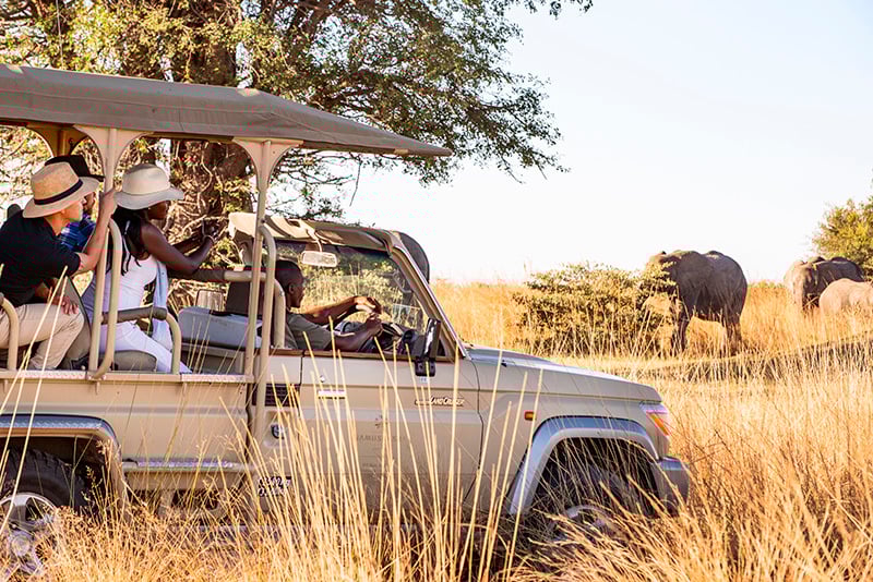 Safari Tours, elephant, Namibia