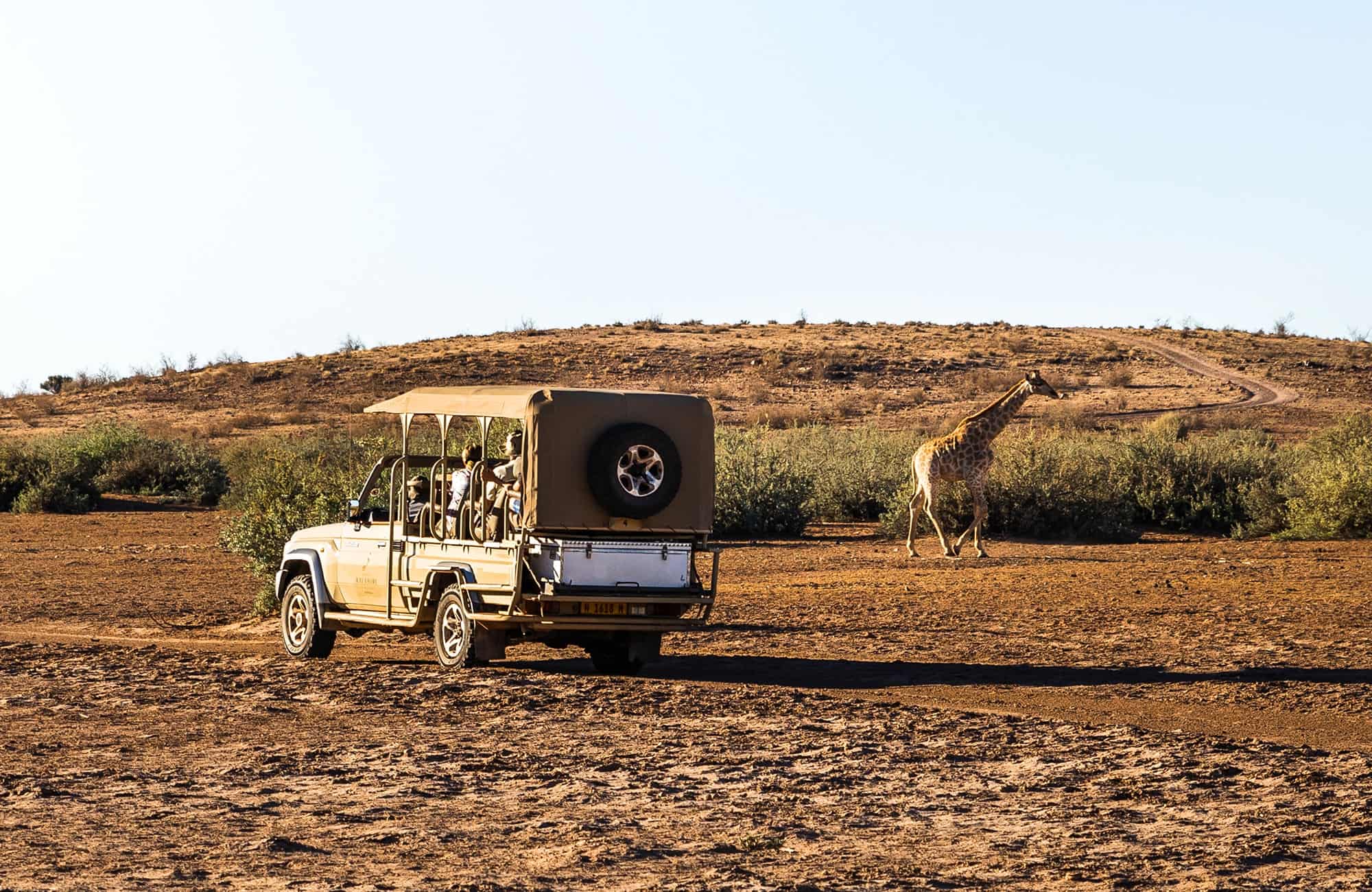 Kalahari Game Drive