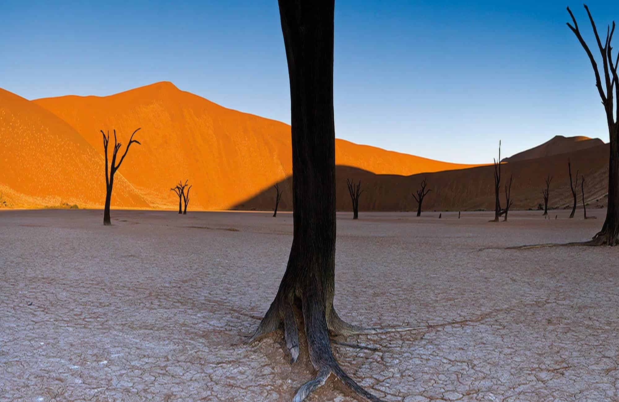 Namib Experience (10)