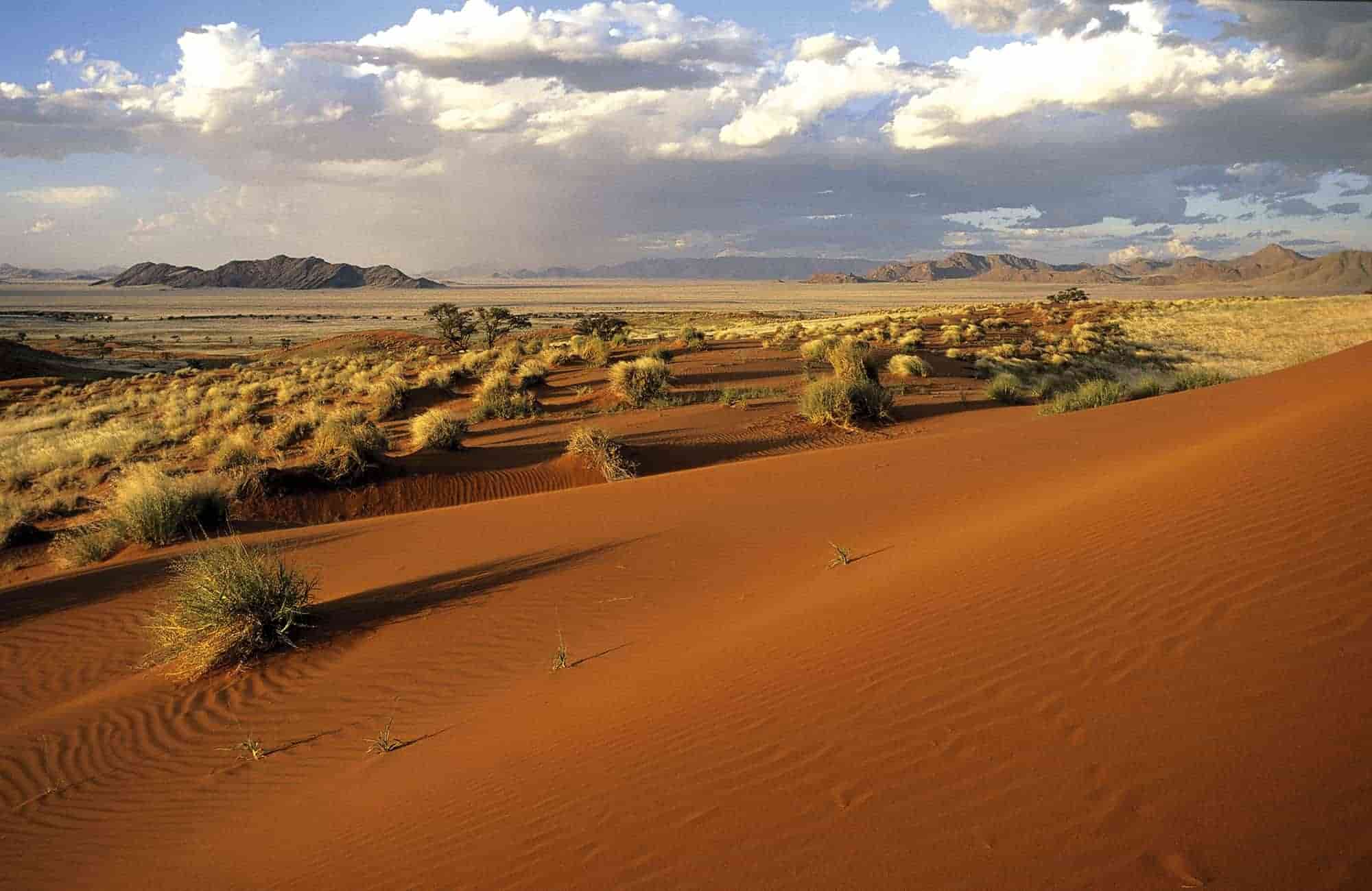 Namib Experience (9)