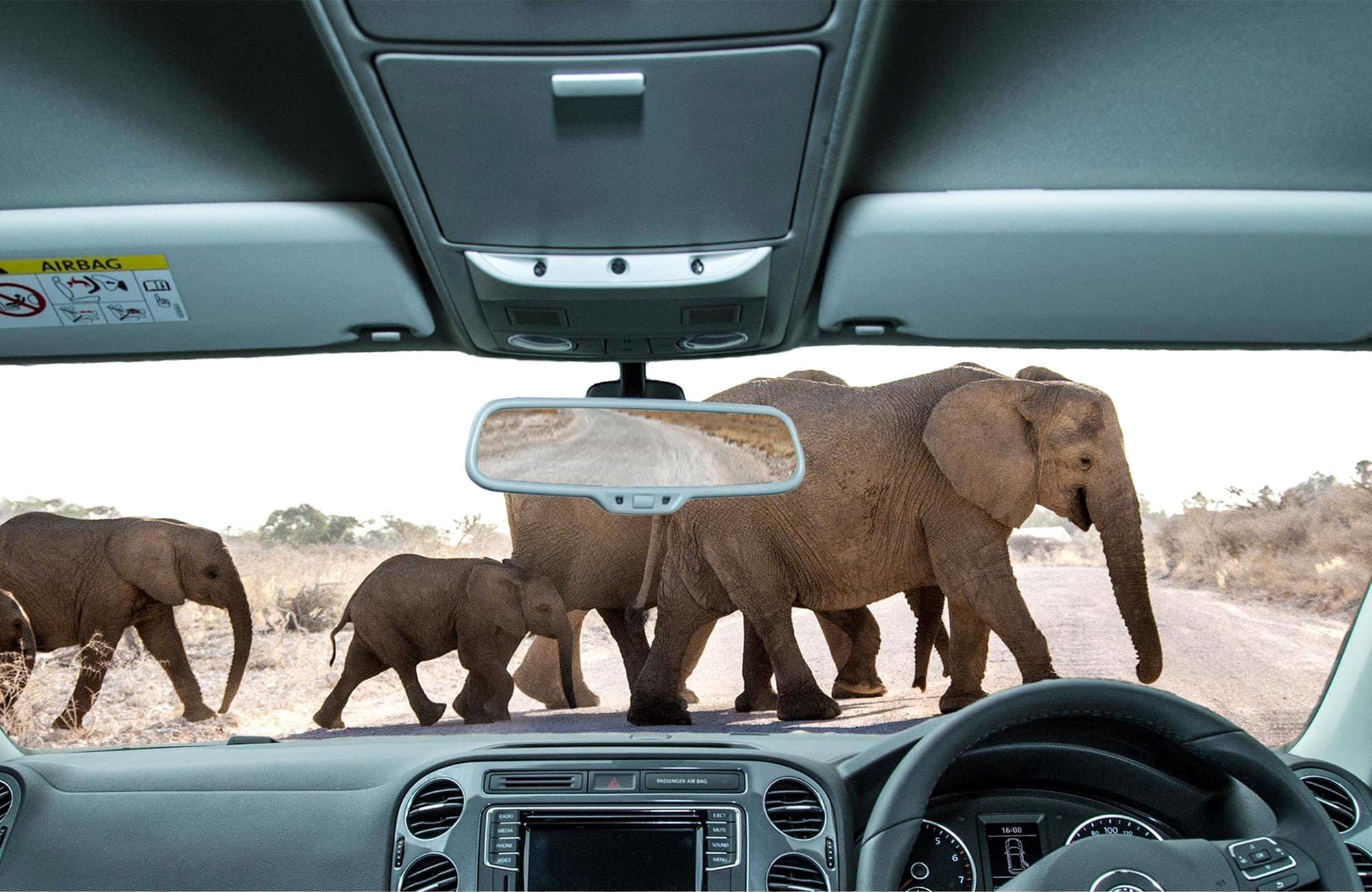 Self-Drive Safaris, Namibia