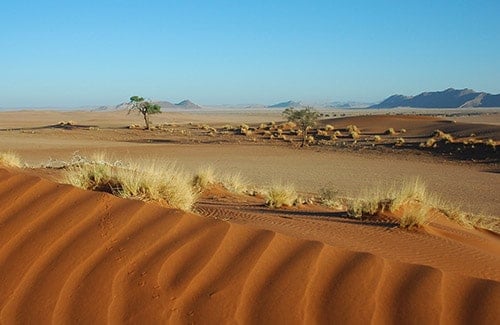 Planmäßige Touren, Namibia