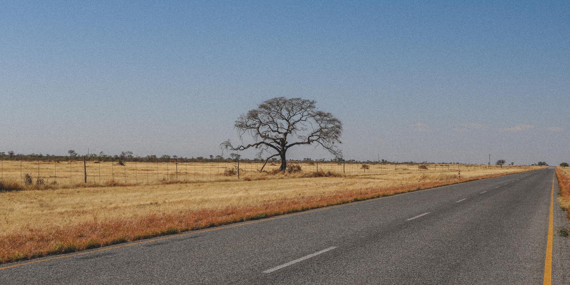 Roadtrip through Namibia. Two women taking on an adventure.