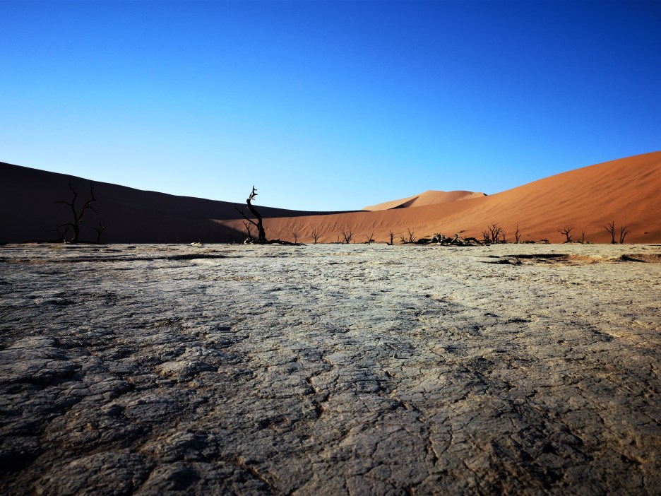 Namibia’s role in the ‘Global Strike For Future’