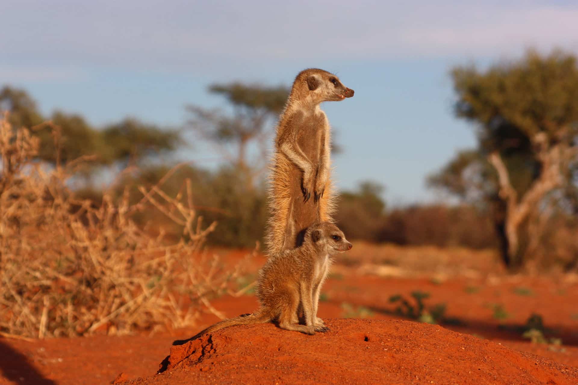 Namibia down under
