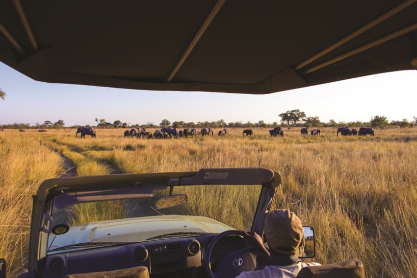 NAMUSHASHA-ACTIVITIES3-1