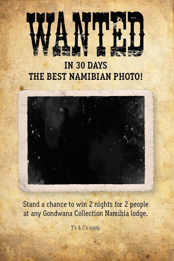 The best Namibian photo