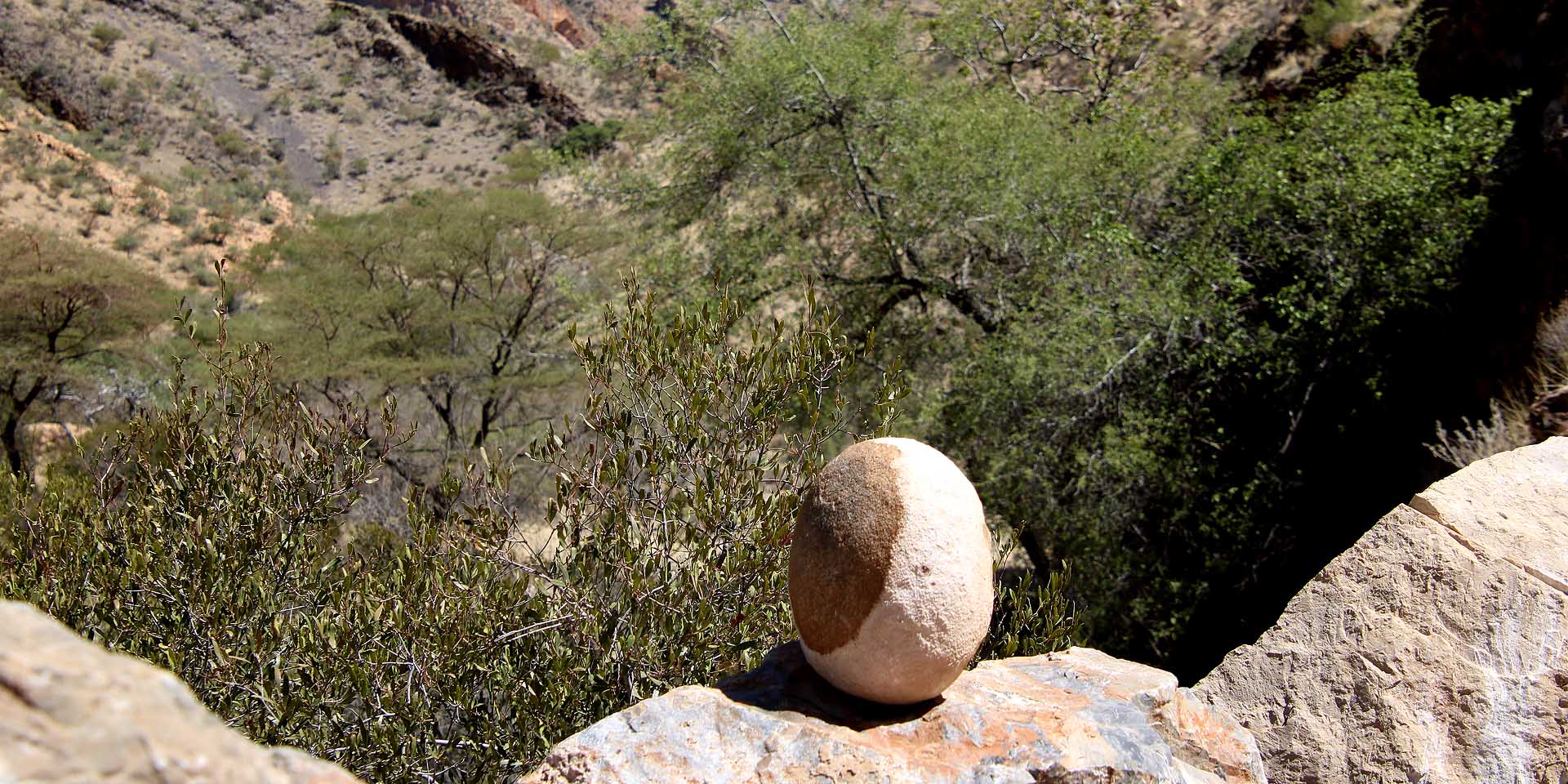 Frohe Ostern in Namibia Dieser eiförmige Stein gefunden aufgenommen im Naukluft-Gebirge weder angemalt noch zurechtgeschliffen Foto Sven-Eric Stender