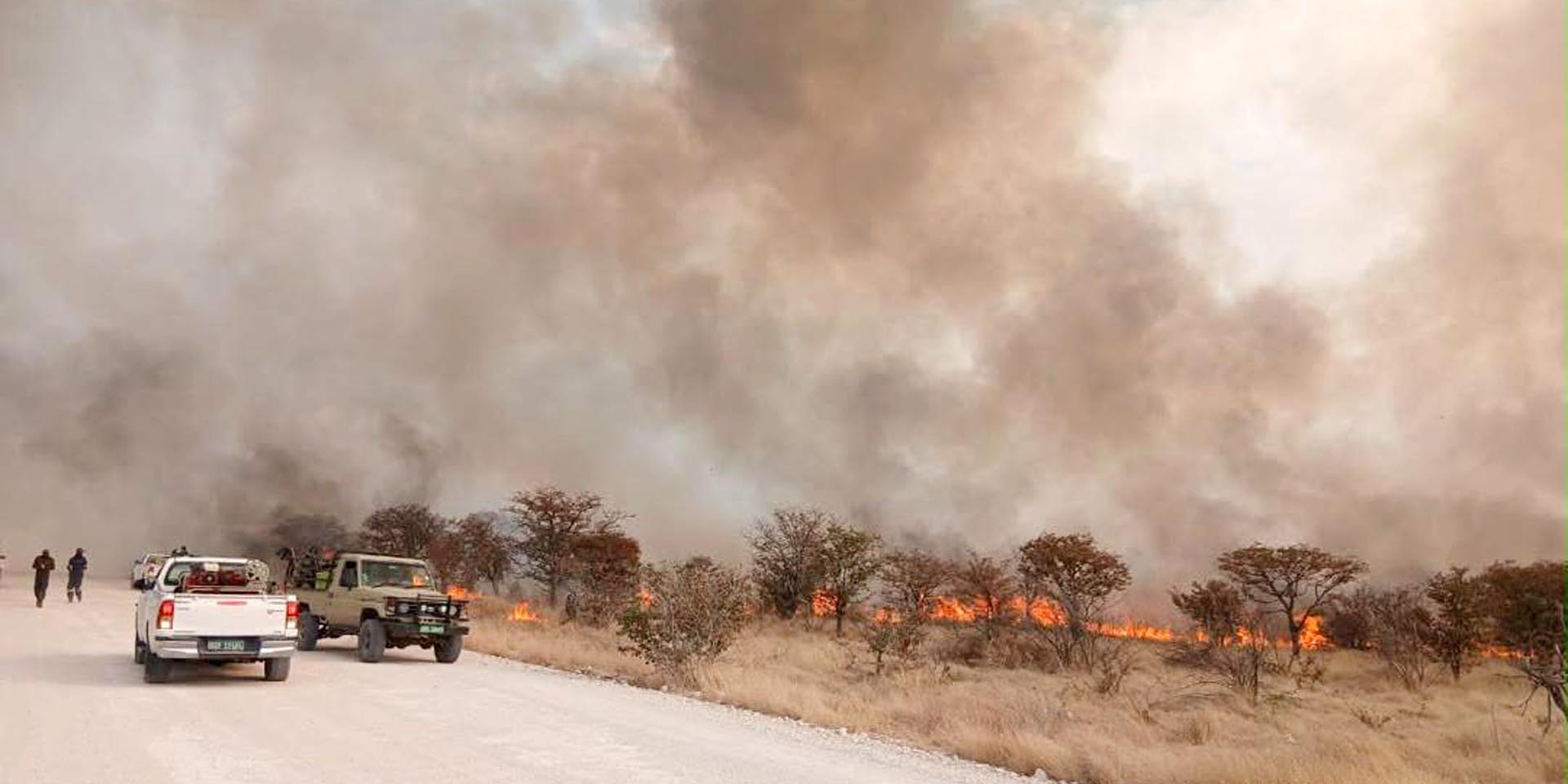 Großeinsatz im Kampf gegen Buschbrände im Etosha Nationalpark im Norden Namibias Foto Ministerium für Umwelt Forstwesen und Tourismus MEFT