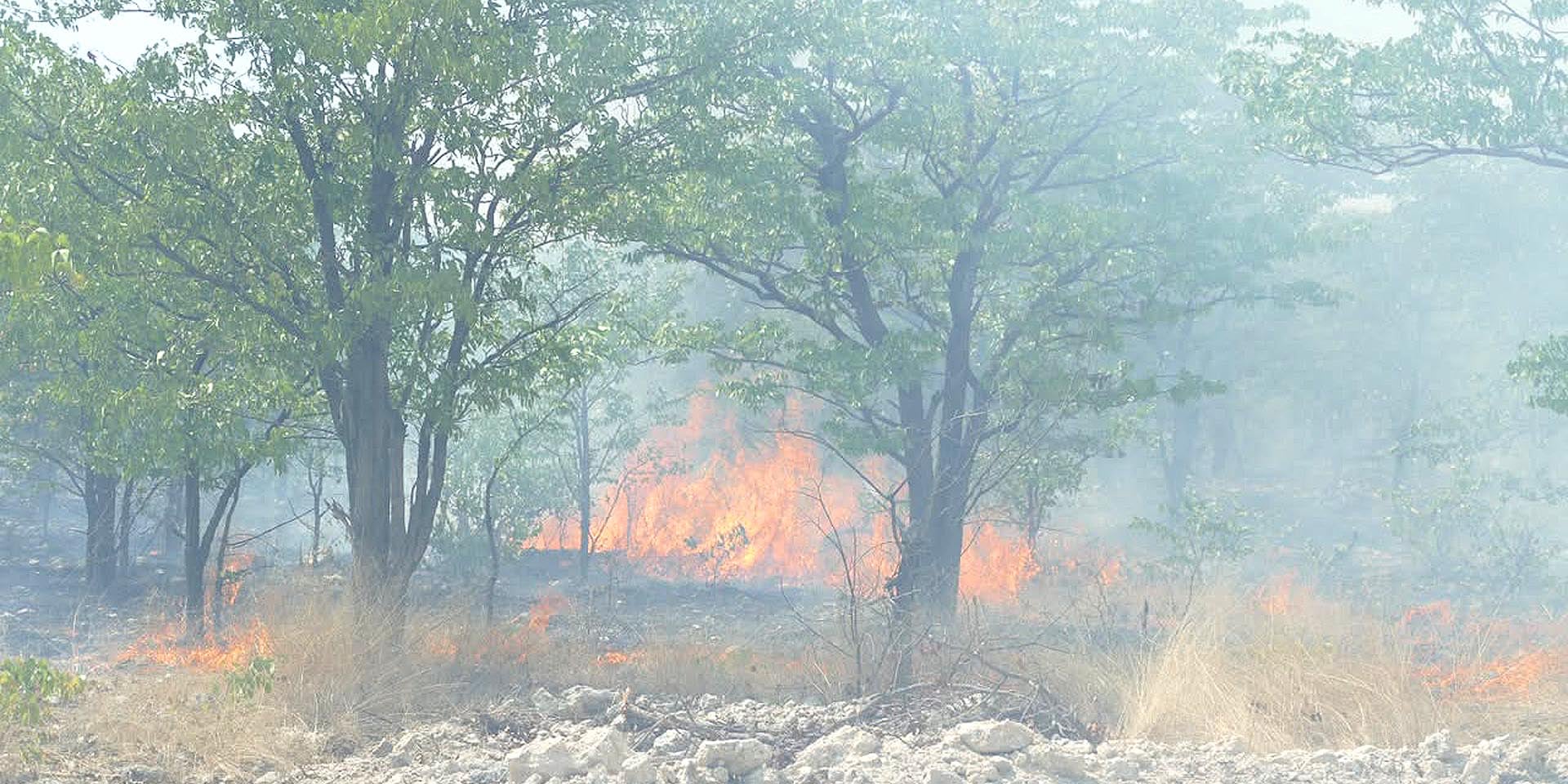 Veldbrände im Etosha Nationalpark unter Kontrolle