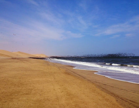 Diamond Coast