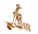CANYON LODGE Logo