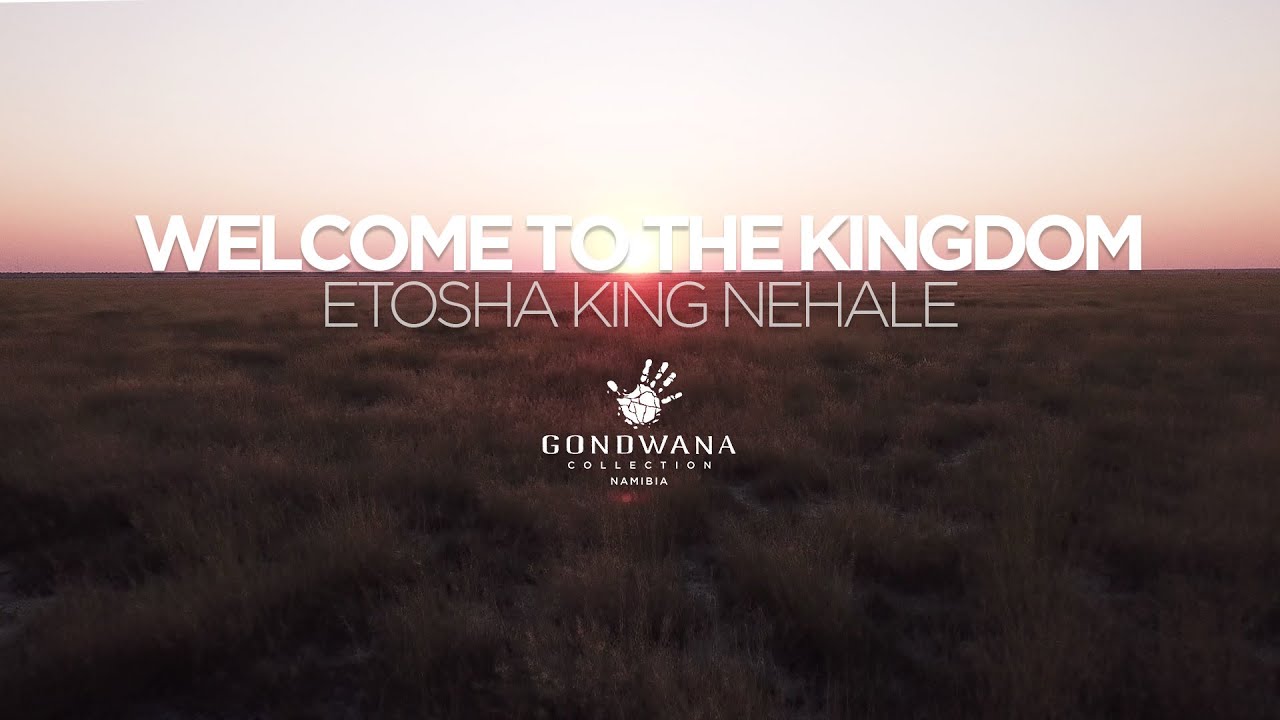 Etosha King Nehale
